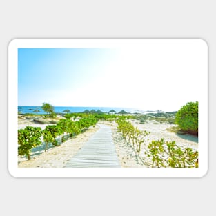 Pathway to the beach in Oman Sticker